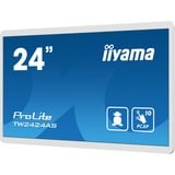 iiyama Offentlig visning Hvid