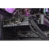 ALTERNATE Gaming PC Sort/gennemsigtig