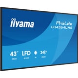 iiyama Offentlig visning Sort (mat)